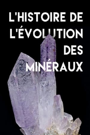 L'histoire de l'évolution des minéraux - NOVA: Life's Rocky Start (2016)