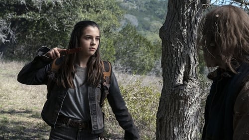movies/2024-09-27/fear-the-walking-dead-13MXuzghD5jSDPG8vfqCU4dmzdF.jpg