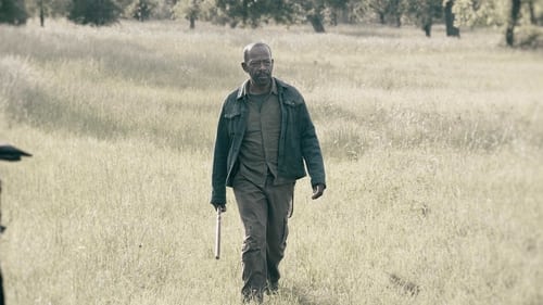 movies/2024-09-27/fear-the-walking-dead-2DQ3q2UCXD0kmMQkVtUt3fwHG74.jpg
