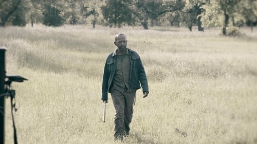movies/2024-09-27/fear-the-walking-dead-4cXppPHUCJZ1H7TQjYkqqio8TPO.jpg