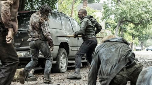 movies/2024-09-27/fear-the-walking-dead-55GsiIJxRnZblycXg36obUqtRxh.jpg