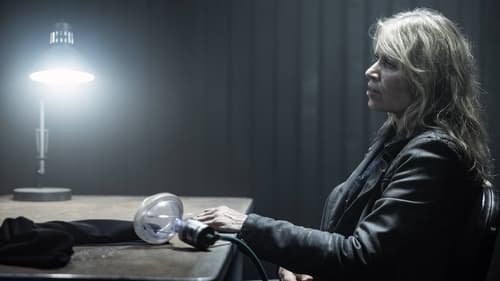 movies/2024-09-27/fear-the-walking-dead-55vReEifXIvLAvK1ssU0i8wxwHl.jpg