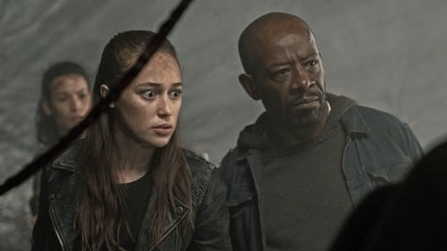 movies/2024-09-27/fear-the-walking-dead-6kWfff4OAGu4DV7MsUE8AxP43HI.jpg