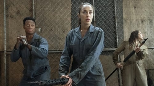 movies/2024-09-27/fear-the-walking-dead-6siIJ6DNid7SoZEBo60axXpmHCA.jpg