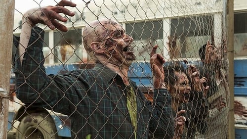 movies/2024-09-27/fear-the-walking-dead-8PgYz0Pjt9aXNIofbHYSaQRuyx7.jpg