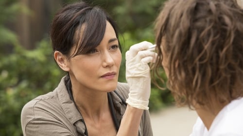 movies/2024-09-27/fear-the-walking-dead-bcJVot7eMVpLcOfbO2M8QbW6oNb.jpg