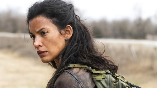 movies/2024-09-27/fear-the-walking-dead-gDwG1IDGfg0JRpBxnSSetpuRMGs.jpg
