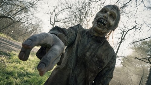 movies/2024-09-27/fear-the-walking-dead-izk0pURJ5Dg9j1NSeX7n7vGdVmi.jpg