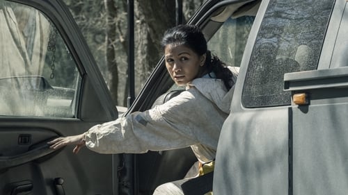movies/2024-09-27/fear-the-walking-dead-jw8jIqw4hETDyh7KMQ6tJ7wN2VY.jpg