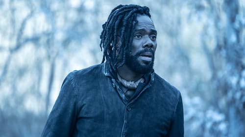 movies/2024-09-27/fear-the-walking-dead-nSd6MQjoggeO6WvRO9AG2OdTpIi.jpg