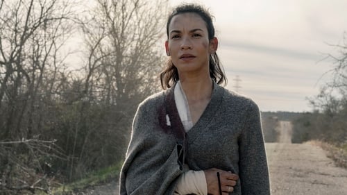 movies/2024-09-27/fear-the-walking-dead-pIgBAD4zITgY2H70wyObGrpI5ux.jpg