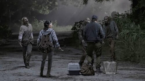 movies/2024-09-27/fear-the-walking-dead-tEJOLnfoKXrH5L1jxhCdLSPBPed.jpg