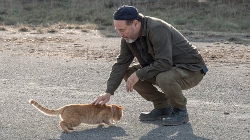 movies/2024-09-27/fear-the-walking-dead-tvr0WWqmXzeJHy1ZtqvDFWCFEDp.jpg