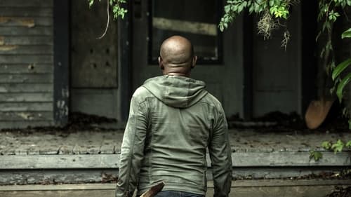 movies/2024-09-27/fear-the-walking-dead-uhG3mFkyFyT8hAEXvoJf2r31Tun.jpg