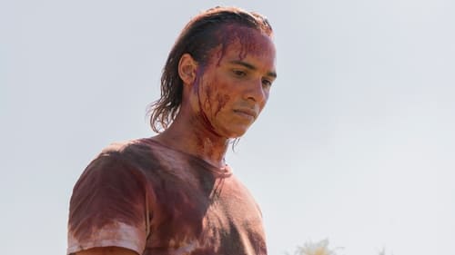 movies/2024-09-27/fear-the-walking-dead-vfcNXmrkITGIGRKKi4pRWG9oSNZ.jpg