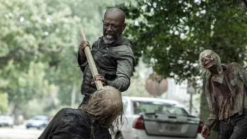 movies/2024-09-27/fear-the-walking-dead-wBxD7U3frxKPoDTwb3hZzHY33wZ.jpg
