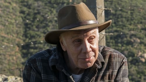 movies/2024-09-27/fear-the-walking-dead-x7BfJji0FHtDEFZvhGArAxh26Ki.jpg