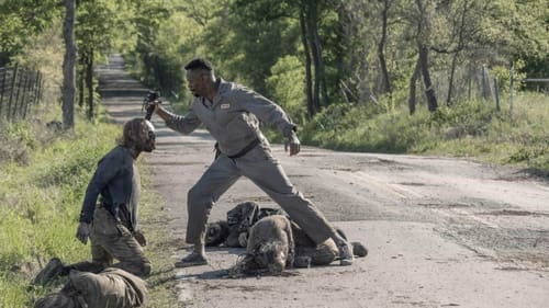 movies/2024-09-27/fear-the-walking-dead-xWJVoZAXcF9oQkmPpPHU6wbdQzN.jpg