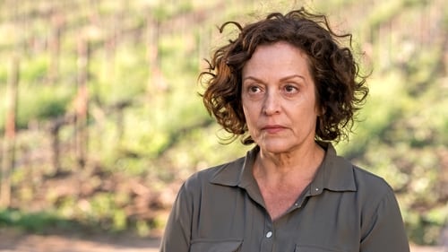 movies/2024-09-27/fear-the-walking-dead-xcqecmQFHLAMFPC0z5Q1n3qN56F.jpg