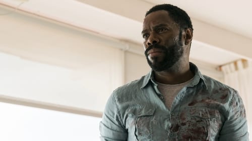 movies/2024-09-27/fear-the-walking-dead-ya3o1t0fxEzHvX5r4IWKnc7VkkX.jpg