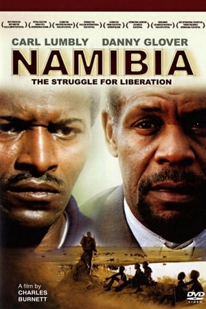 Namibia: The Struggle for Liberation (2007)