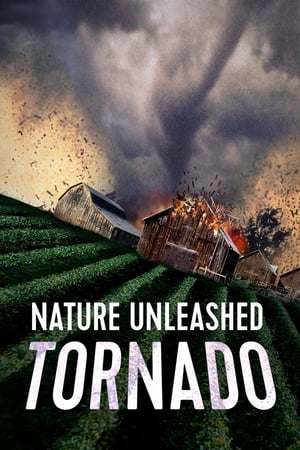 Catastrophe naturelle: Tornade - Nature Unleashed: Tornado (2005)