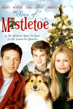 Un Noël pas comme les autres - The Sons of Mistletoe (2001)