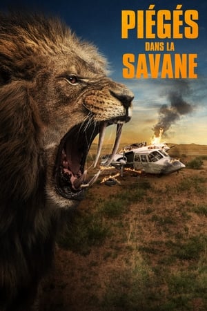 Piégés dans La Savane - Prey (2024)