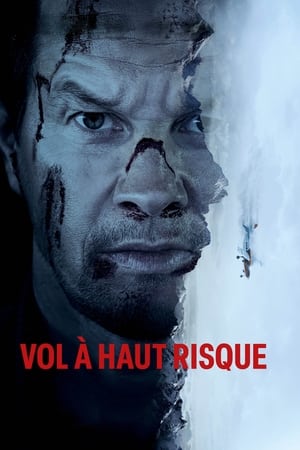 Vol à haut risque - Flight Risk (2025)