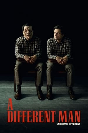 Un homme différent - A Different Man (2024)