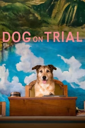 Dog on Trial (2024)