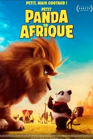 Petit Panda en Afrique - Panda Bear in Africa (2024)