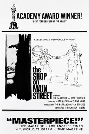 Magazinul de pe strada mare - The Shop on Main Street (1965)