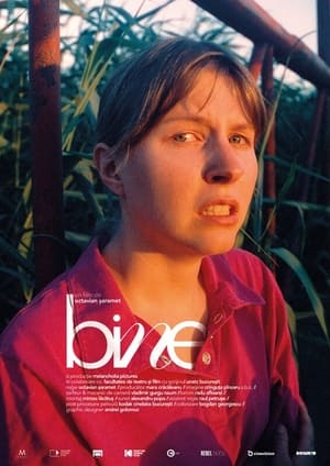 Fine (2024)