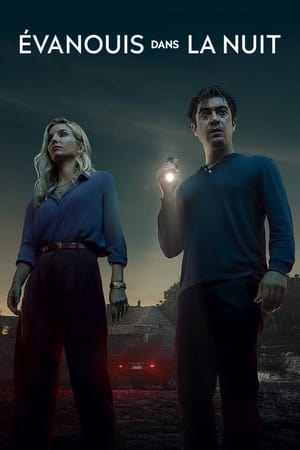 Évanouis dans la nuit - Vanished into the Night (2024)