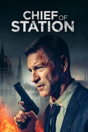 Şeful biroului - Chief of Station (2024)