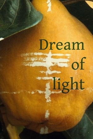 Le songe de la lumière - Dream of Light (1992)