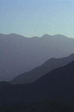 Live to Live (2015)