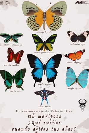 Oh butterfly, what dou you dream of when you flap your wings? (2020)