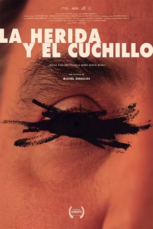 The Wound and the Knife (Notes for a Film About García Wehbi) (2019)