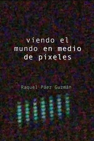 Viendo el mundo en medio de pixeles (2020)