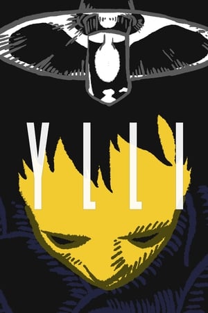YLLI (2022)