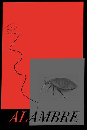 ALAMBRE (2025)