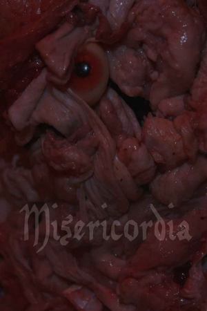 Misericordia (2025)