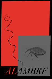 ALAMBRE