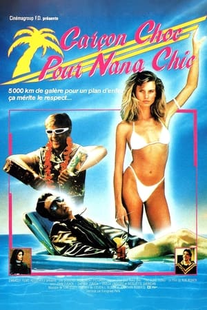 Conquêtes de vacances - The Sure Thing (1985)