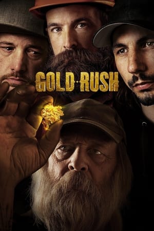 Goana după Aur - Gold Rush (2010)