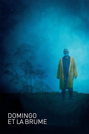 Domingo et la Brume - Domingo and the Mist (2022)