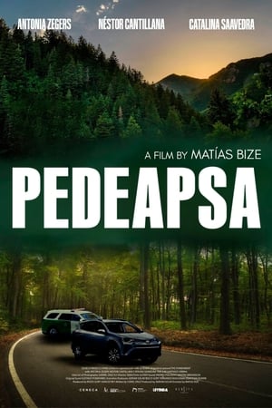 Pedeapsa - El castigo (2022)