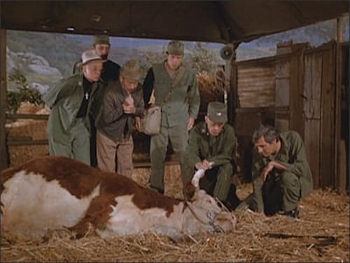 movies/2025-03-19/mash-bExfzITPUu3PhJj7ivFYYS0LUVk.jpg